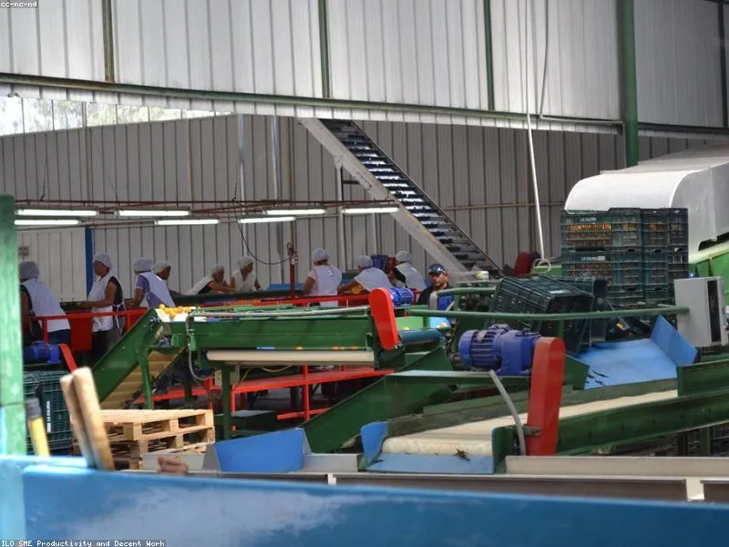Produktionslinie in einer Lebensmittelfabrik